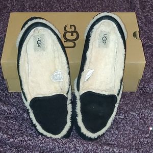 UGG slipper